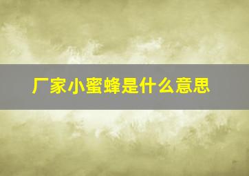 厂家小蜜蜂是什么意思