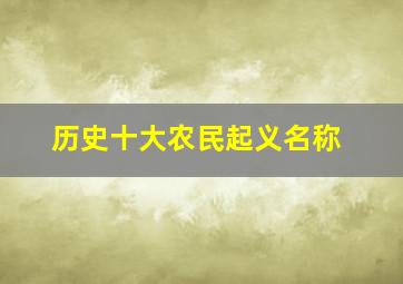 历史十大农民起义名称