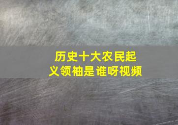 历史十大农民起义领袖是谁呀视频