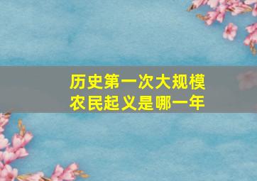 历史第一次大规模农民起义是哪一年