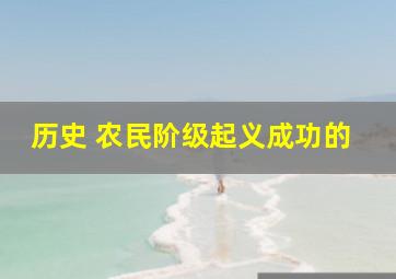 历史 农民阶级起义成功的