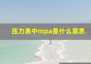 压力表中mpa是什么意思