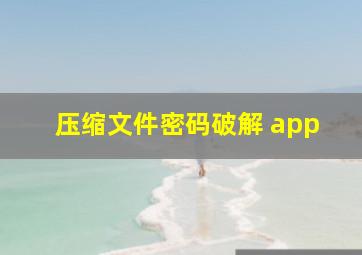 压缩文件密码破解 app