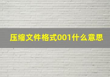 压缩文件格式001什么意思