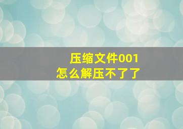 压缩文件001怎么解压不了了