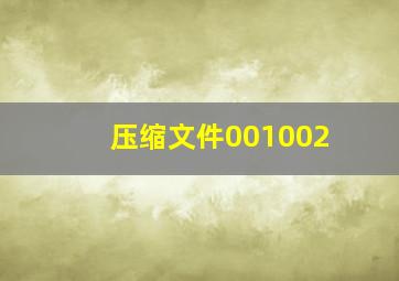 压缩文件001002