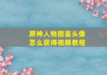 原神人物图鉴头像怎么获得视频教程