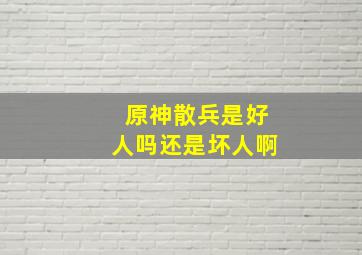 原神散兵是好人吗还是坏人啊