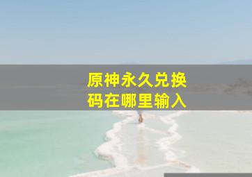 原神永久兑换码在哪里输入