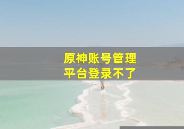 原神账号管理平台登录不了