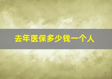 去年医保多少钱一个人