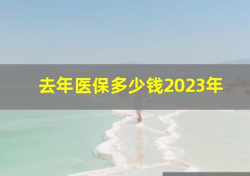 去年医保多少钱2023年