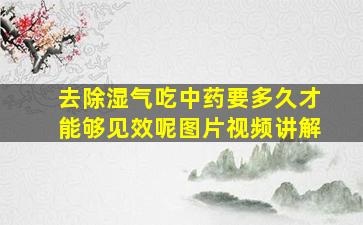 去除湿气吃中药要多久才能够见效呢图片视频讲解