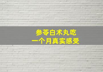 参苓白术丸吃一个月真实感受