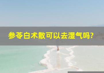 参苓白术散可以去湿气吗?