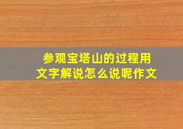 参观宝塔山的过程用文字解说怎么说呢作文