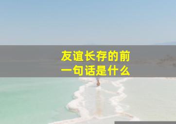 友谊长存的前一句话是什么