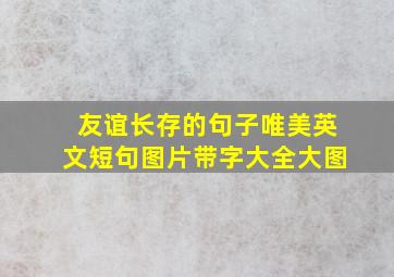 友谊长存的句子唯美英文短句图片带字大全大图