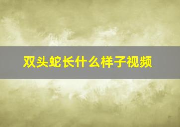 双头蛇长什么样子视频