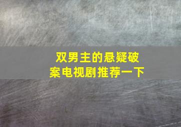 双男主的悬疑破案电视剧推荐一下