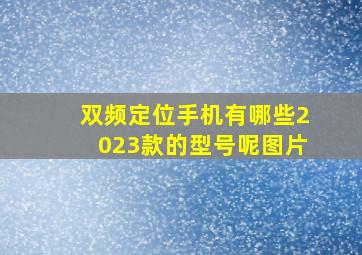 双频定位手机有哪些2023款的型号呢图片