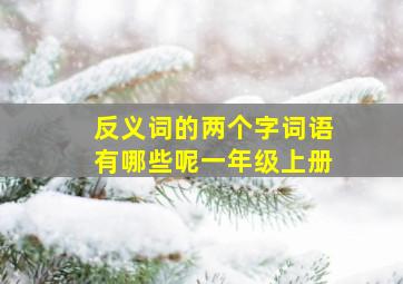 反义词的两个字词语有哪些呢一年级上册