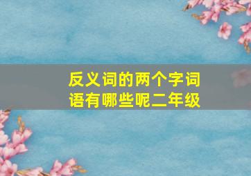 反义词的两个字词语有哪些呢二年级