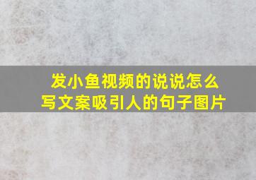 发小鱼视频的说说怎么写文案吸引人的句子图片