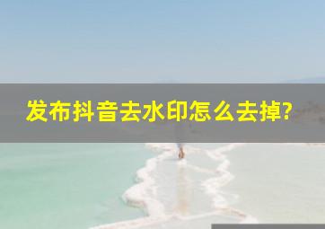 发布抖音去水印怎么去掉?