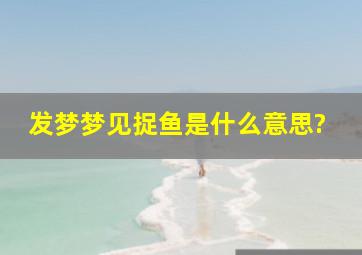 发梦梦见捉鱼是什么意思?