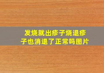 发烧就出疹子烧退疹子也消退了正常吗图片