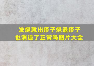 发烧就出疹子烧退疹子也消退了正常吗图片大全