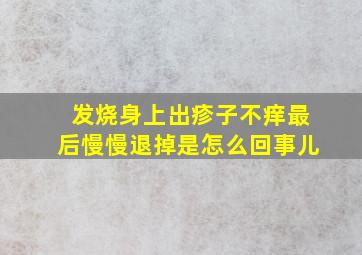 发烧身上出疹子不痒最后慢慢退掉是怎么回事儿