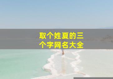 取个姓夏的三个字网名大全