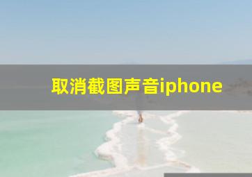 取消截图声音iphone