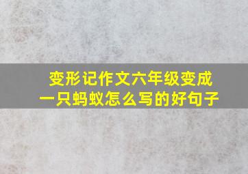 变形记作文六年级变成一只蚂蚁怎么写的好句子