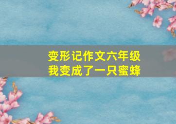 变形记作文六年级我变成了一只蜜蜂