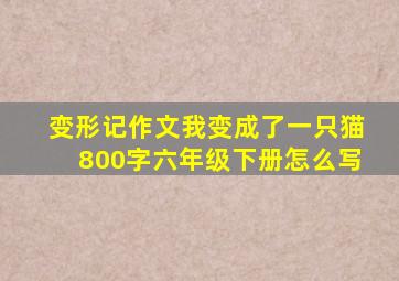 变形记作文我变成了一只猫800字六年级下册怎么写