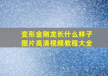 变形金刚龙长什么样子图片高清视频教程大全