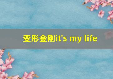 变形金刚it's my life