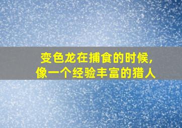 变色龙在捕食的时候,像一个经验丰富的猎人