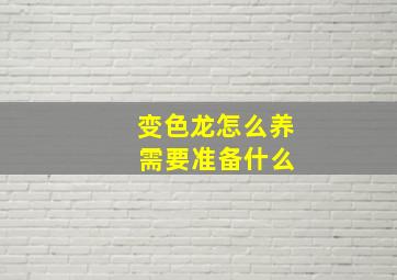 变色龙怎么养 需要准备什么