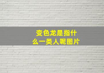 变色龙是指什么一类人呢图片