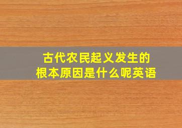 古代农民起义发生的根本原因是什么呢英语