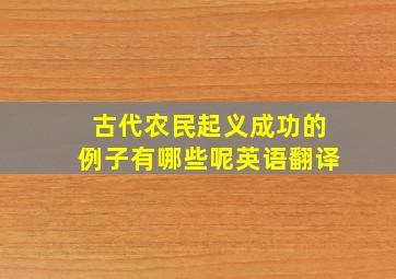 古代农民起义成功的例子有哪些呢英语翻译