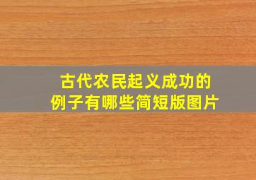 古代农民起义成功的例子有哪些简短版图片