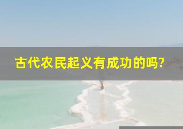 古代农民起义有成功的吗?