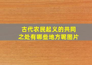 古代农民起义的共同之处有哪些地方呢图片