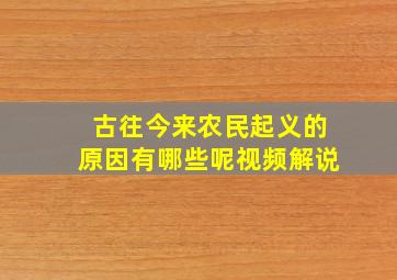 古往今来农民起义的原因有哪些呢视频解说