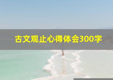 古文观止心得体会300字